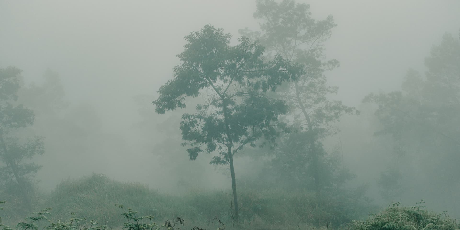 Photography by Muhammad Hadid