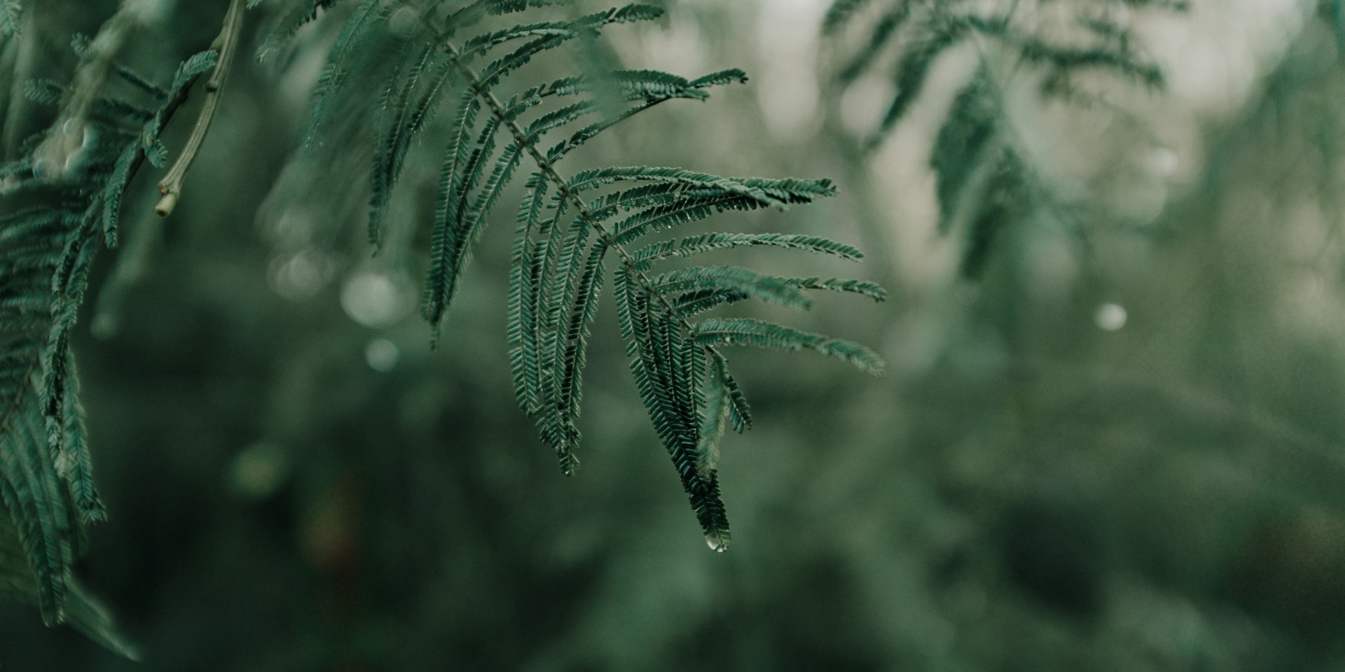 Photography by Muhammad Hadid