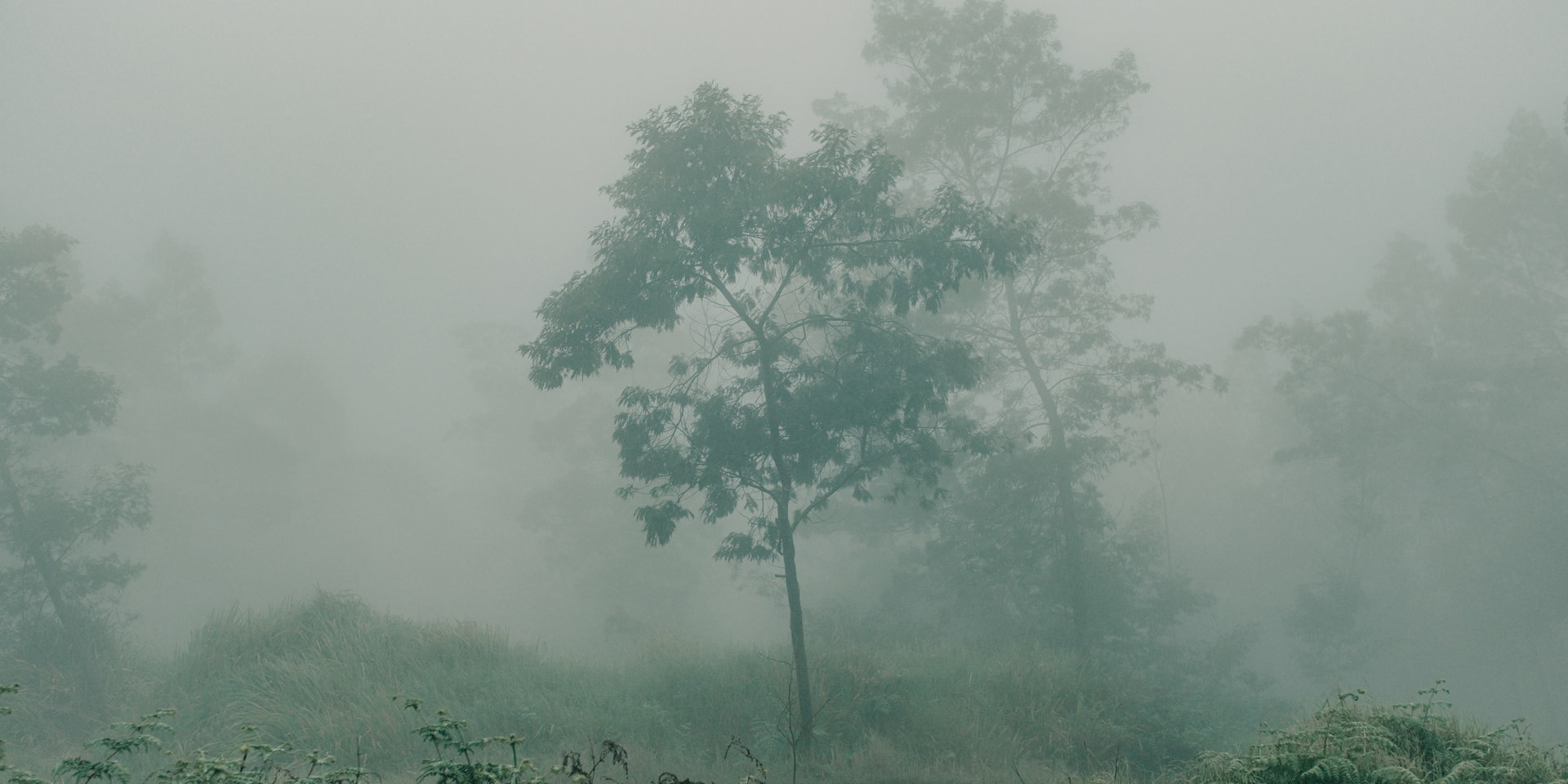 Photography by Muhammad Hadid